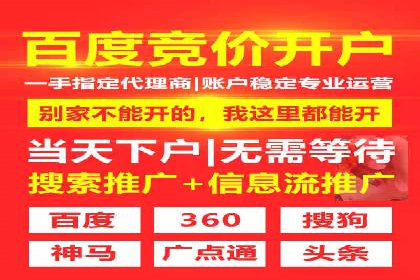 某某sem公司案例解析：如何运用SEM策略助力企业增长